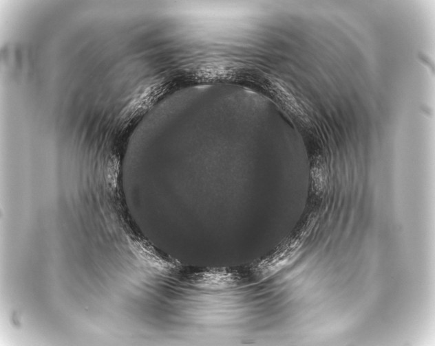 X0000093460458200711021138