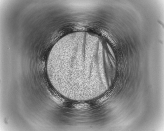 X0000093460459200711021138