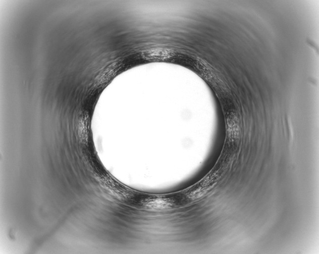 X0000093460460200711021138