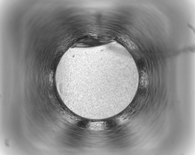 X0000093460461200711021138