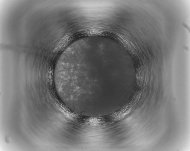 X0000093460462200711021138