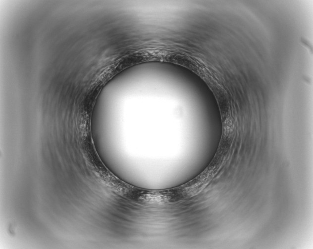 X0000093460464200711021138