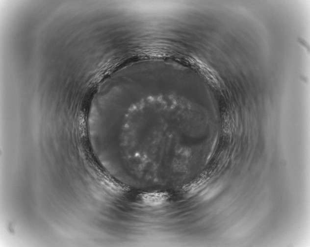 X0000093460465200711021138