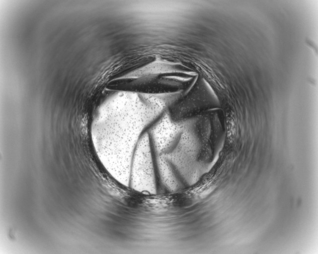 X0000093460466200711021138