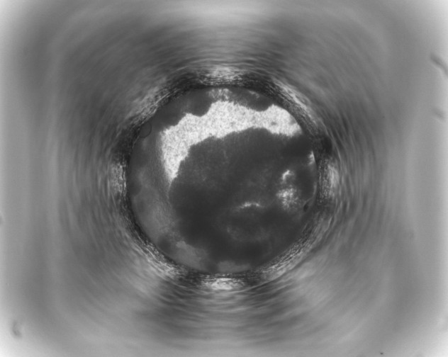 X0000093460467200711021138