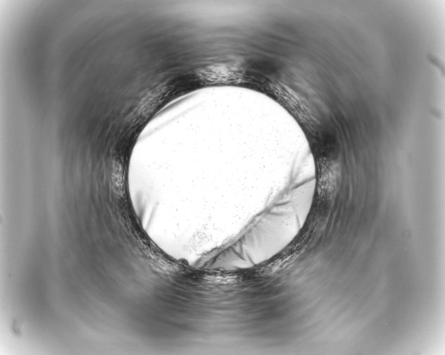 X0000093460469200711021138