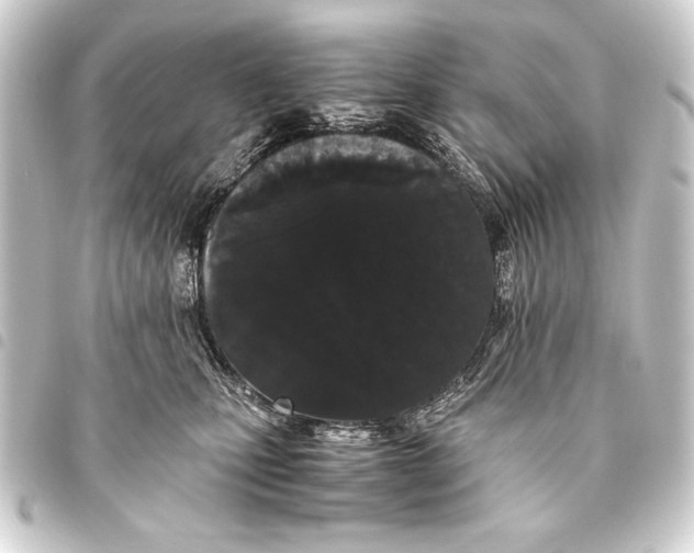 X0000093460471200711021138