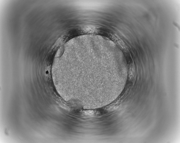 X0000093460473200711021138