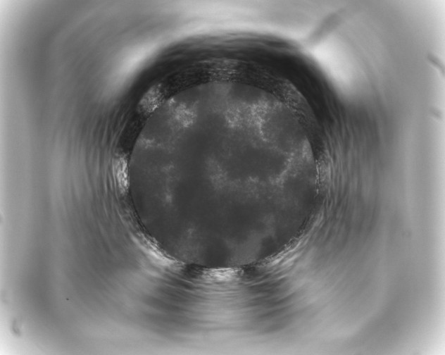 X0000093460479200711021138