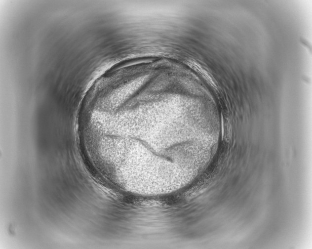 X0000093460483200711021137