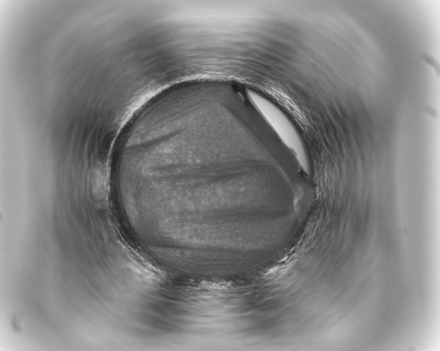 X0000093460484200711021137