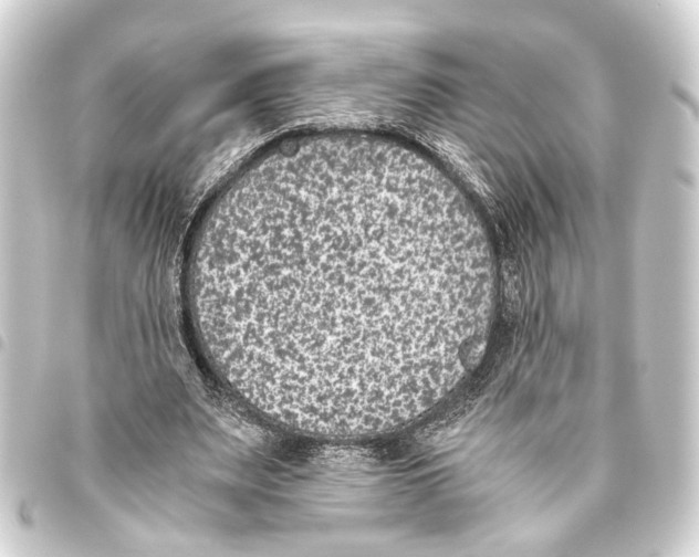 X0000093460487200711021137