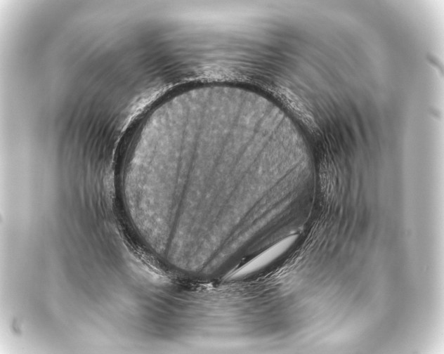 X0000093460488200711021137