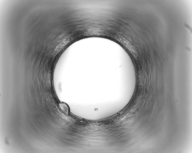 X0000093460489200711021137