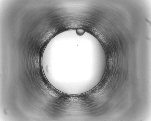 X0000093460490200711021137