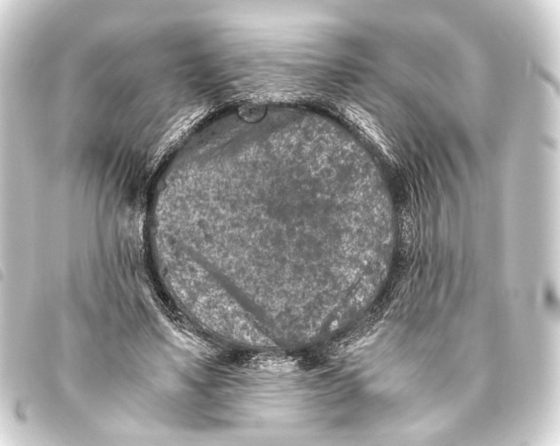 X0000093460491200711021137