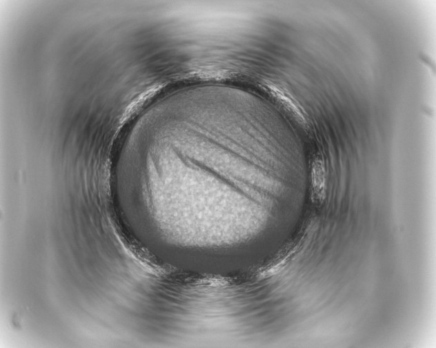 X0000093460492200711021137