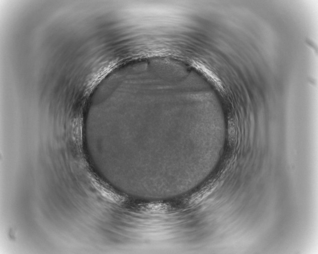 X0000093460493200711021137