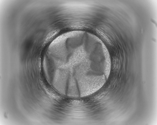 X0000093460494200711021137