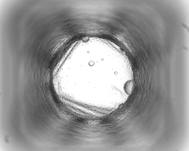 X0000093460495200711021137