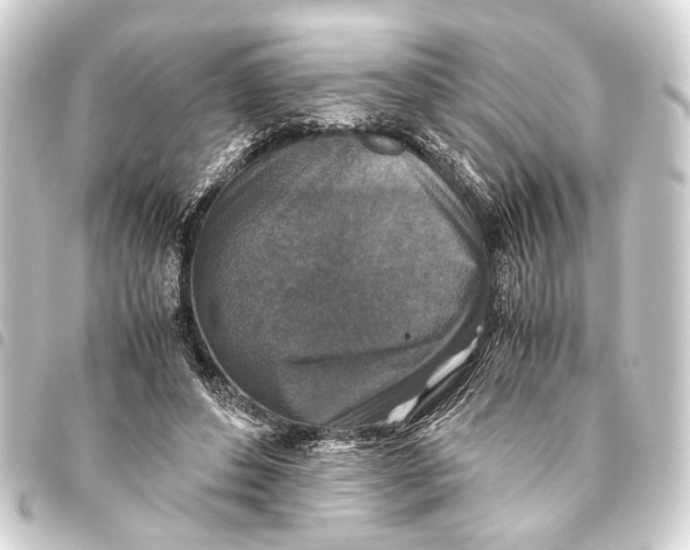 X0000093460496200711021137