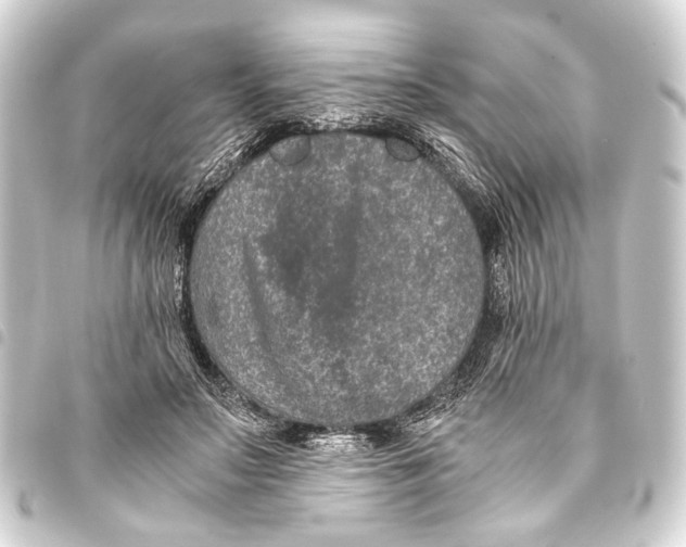 X0000093460499200711021137