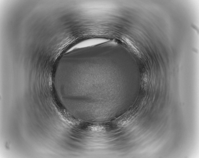 X0000093460500200711021137