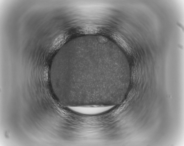 X0000093460501200711021137