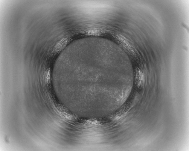 X0000093460502200711021137