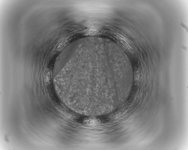 X0000093460503200711021137