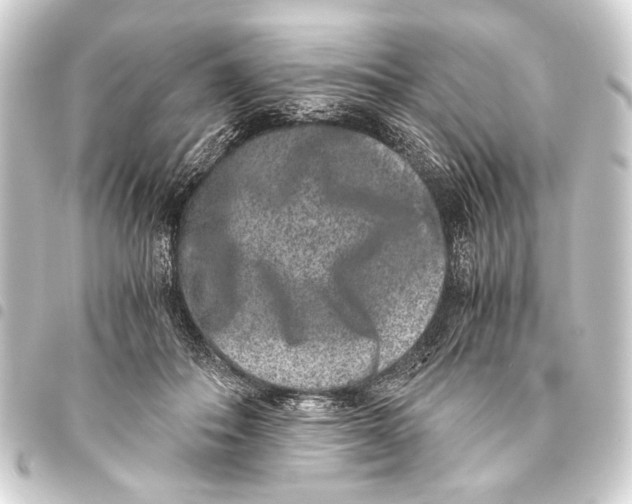 X0000093460506200711021137