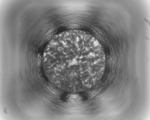 X0000093460507200711021137