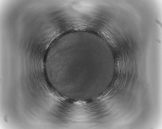 X0000093460508200711021137