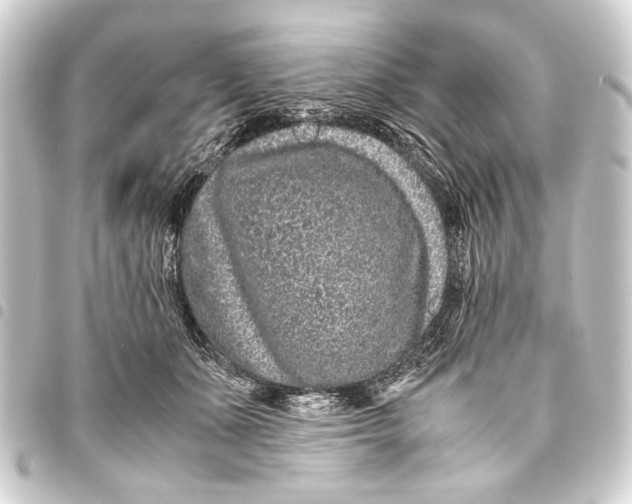 X0000093460511200711021137