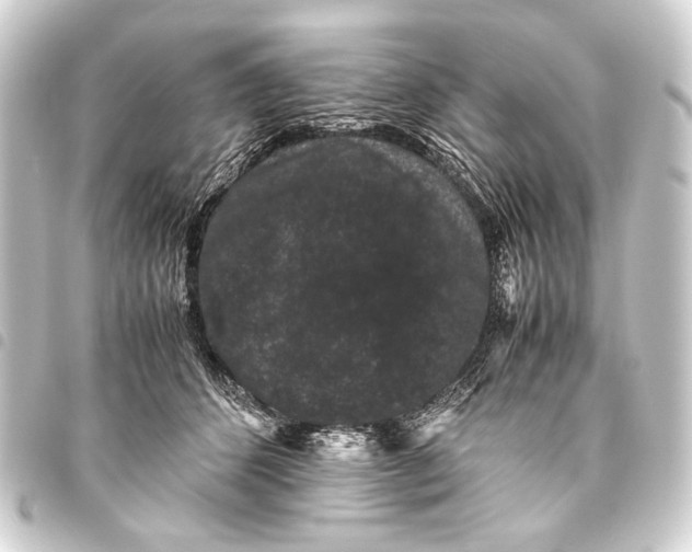 X0000093460512200711021137