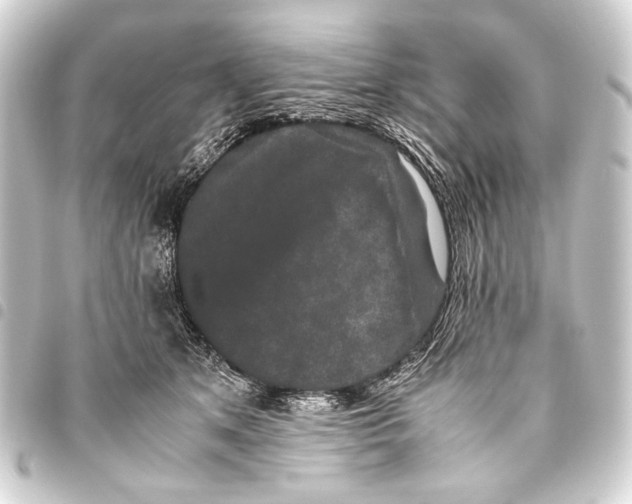 X0000093460513200711021137