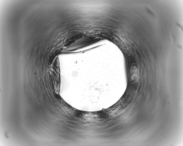 X0000093460515200711021137