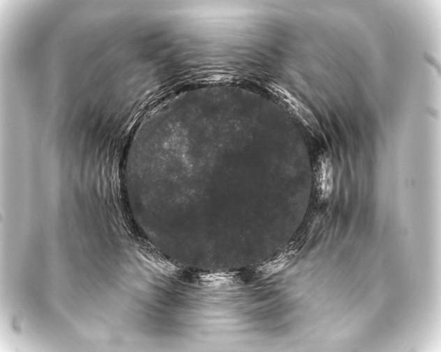 X0000093460516200711021137