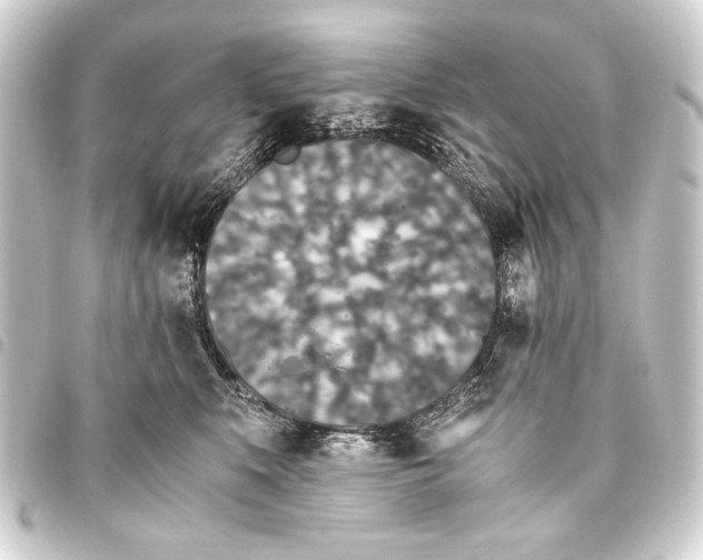 X0000093460519200711021137