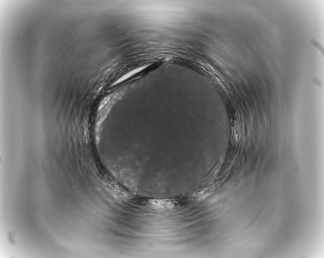 X0000093460520200711021137