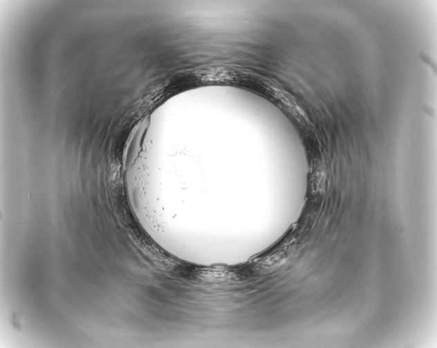 X0000093460521200711021137