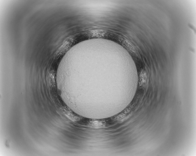 X0000093460522200711021137