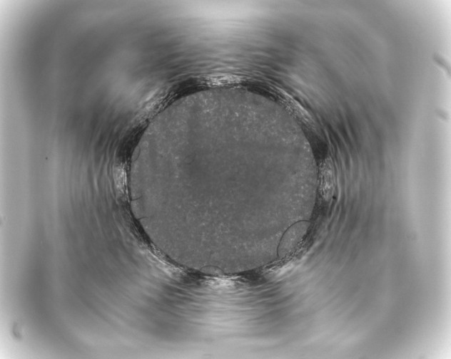 X0000093460523200711021137