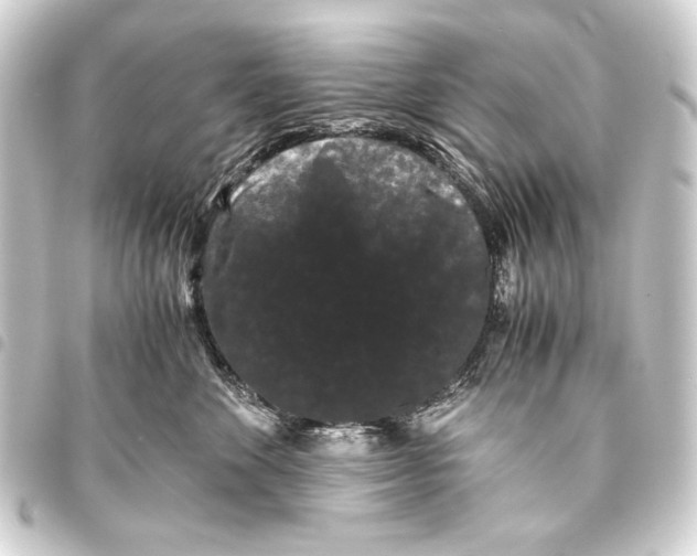 X0000093460524200711021137