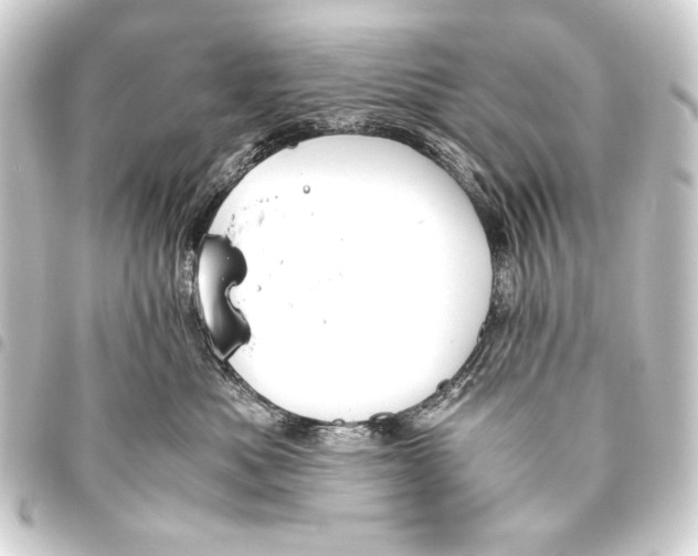 X0000093460525200711021137