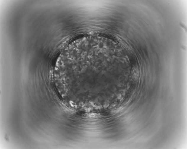 X0000093460527200711021137