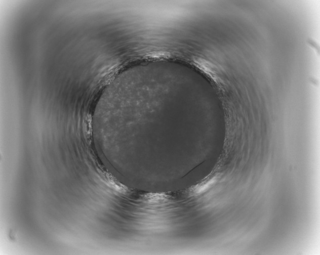 X0000093460528200711021137