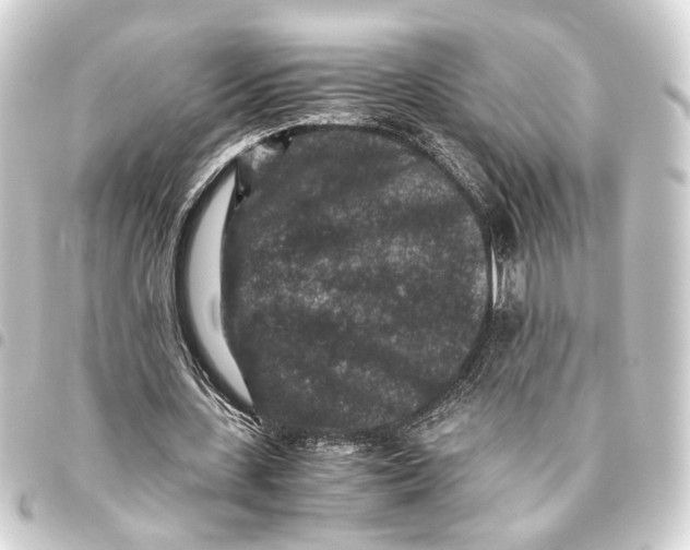 X0000093460531200711021136