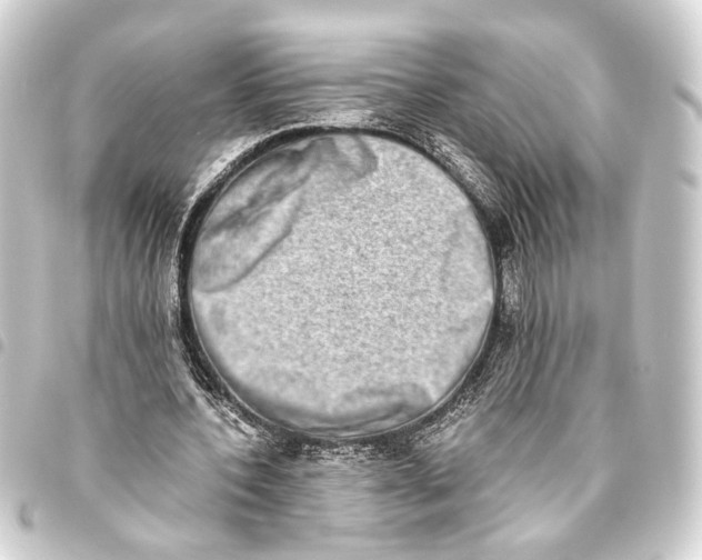 X0000093460532200711021136