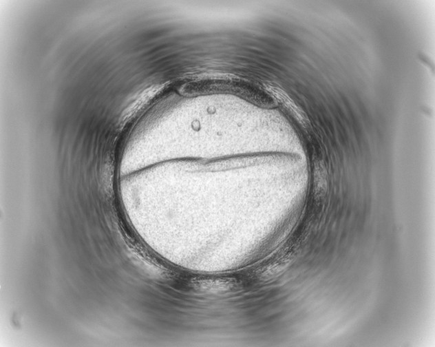 X0000093460533200711021136